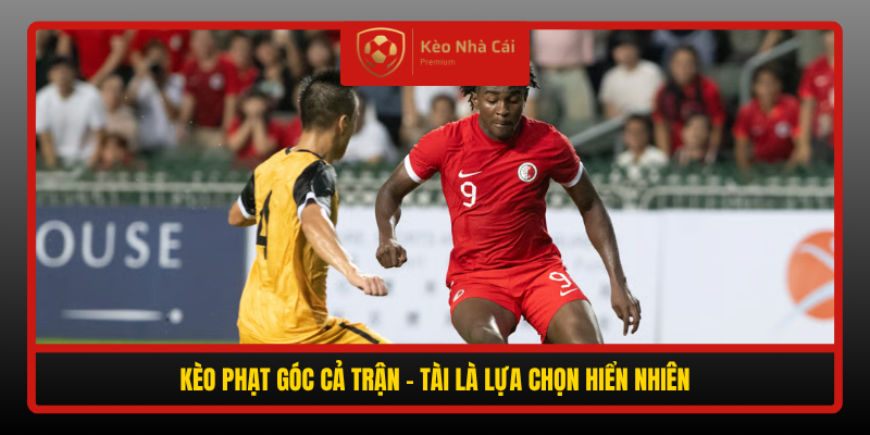 Keo Phat Goc Ca Tran Tai La Lua Chon Hien Nhien