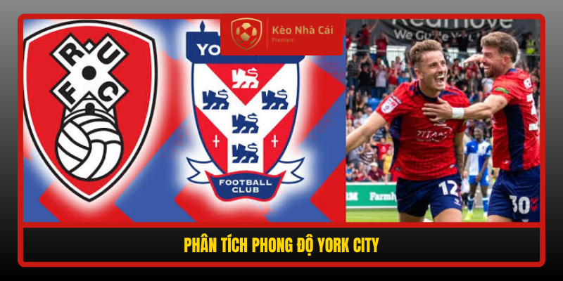 Phan Tich Phong Do York City
